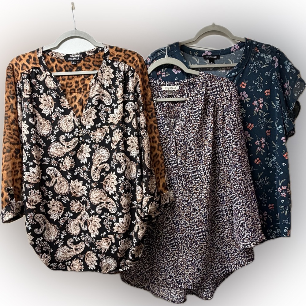 Bundle of 3 Roz&Ali blouses, XL